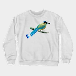 Blue Crowned Motmot Crewneck Sweatshirt